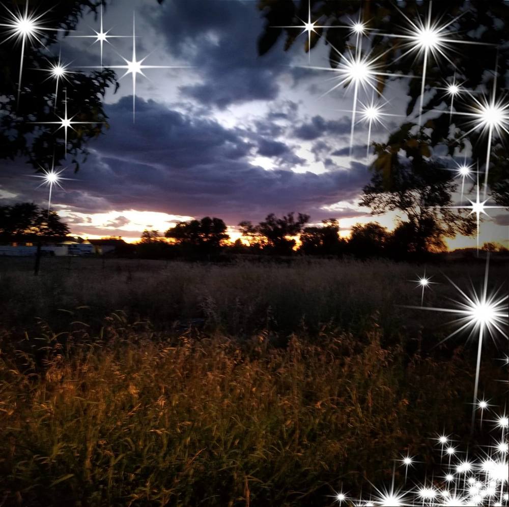 Meet your Posher, Connie